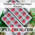 African Black Ant Pills 19